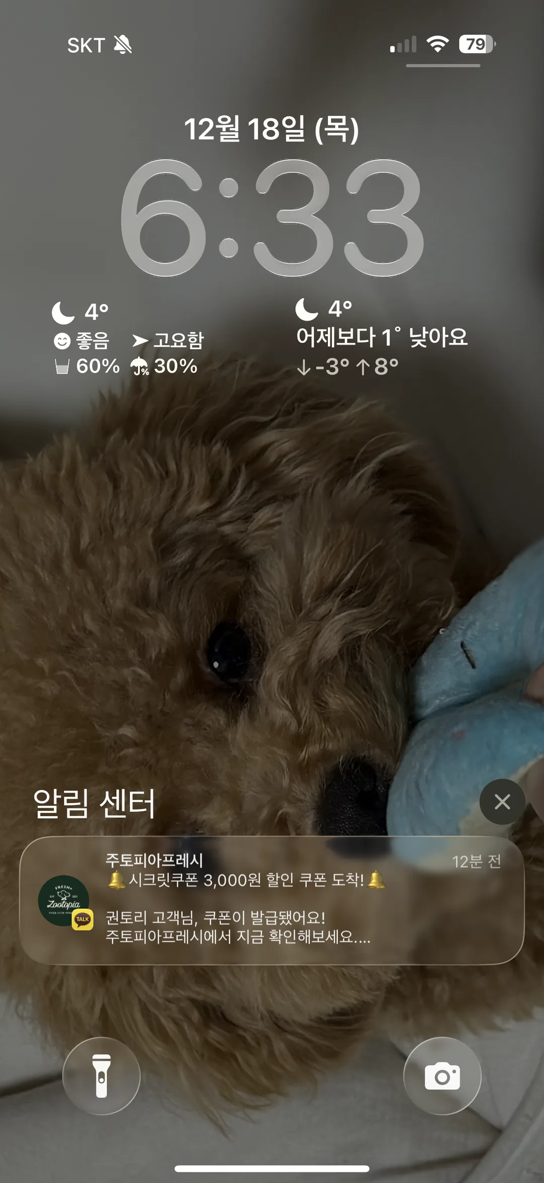토리