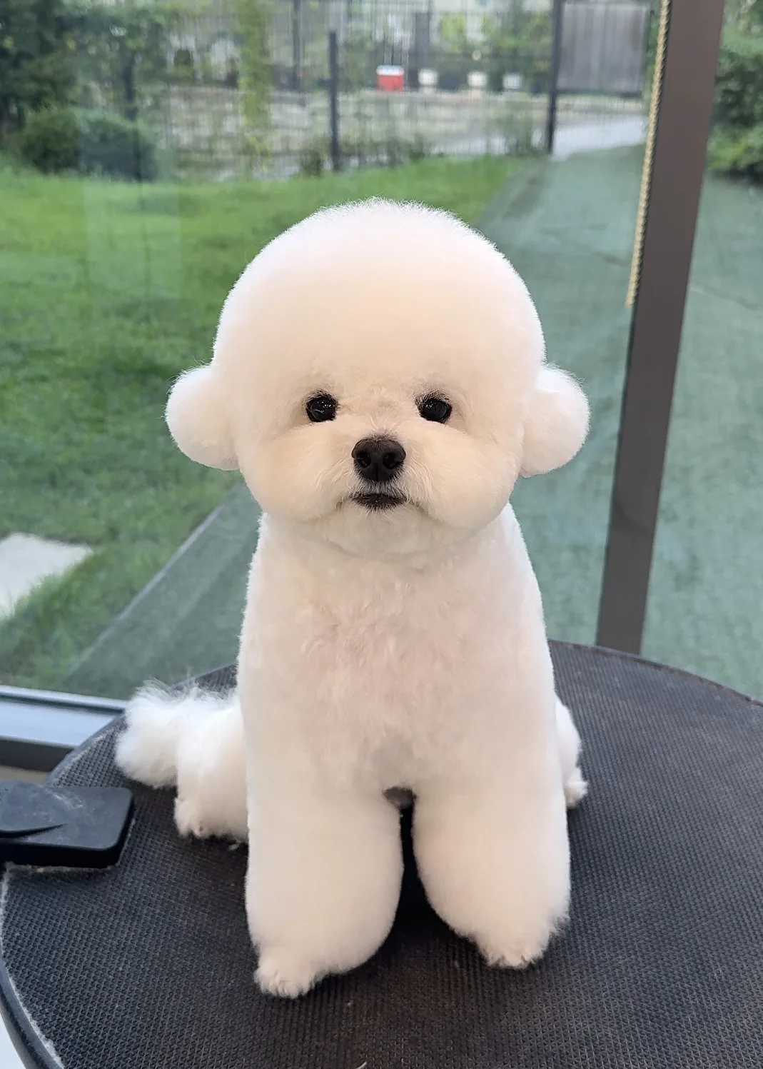코코