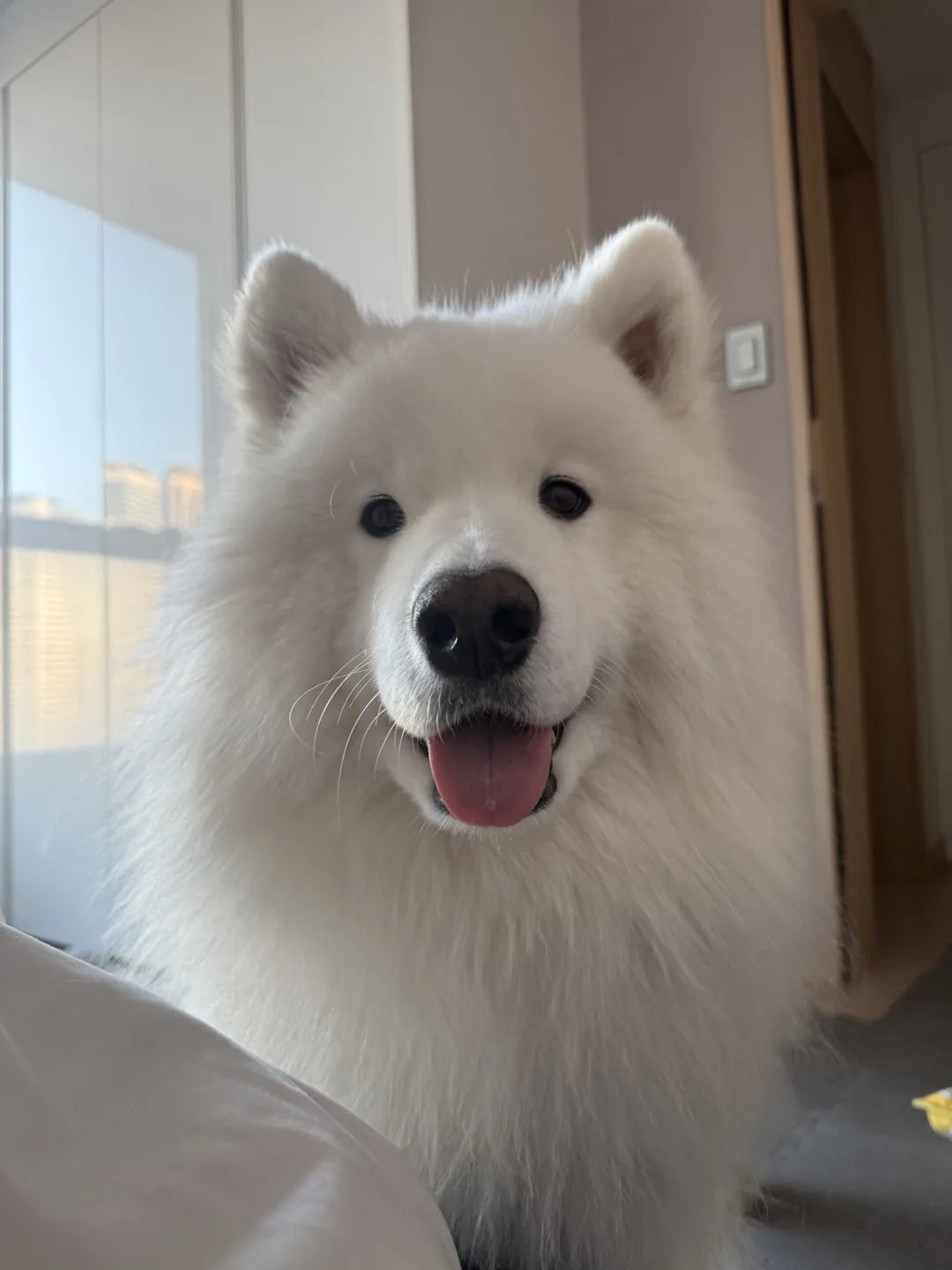 먹구름