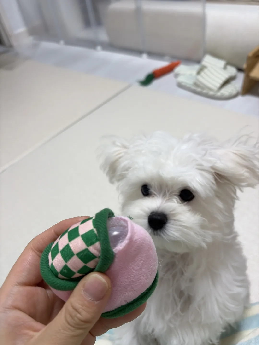 이태풍