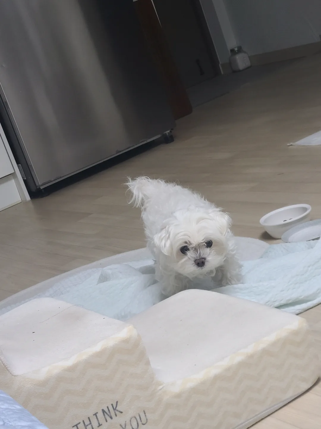 꼬망이