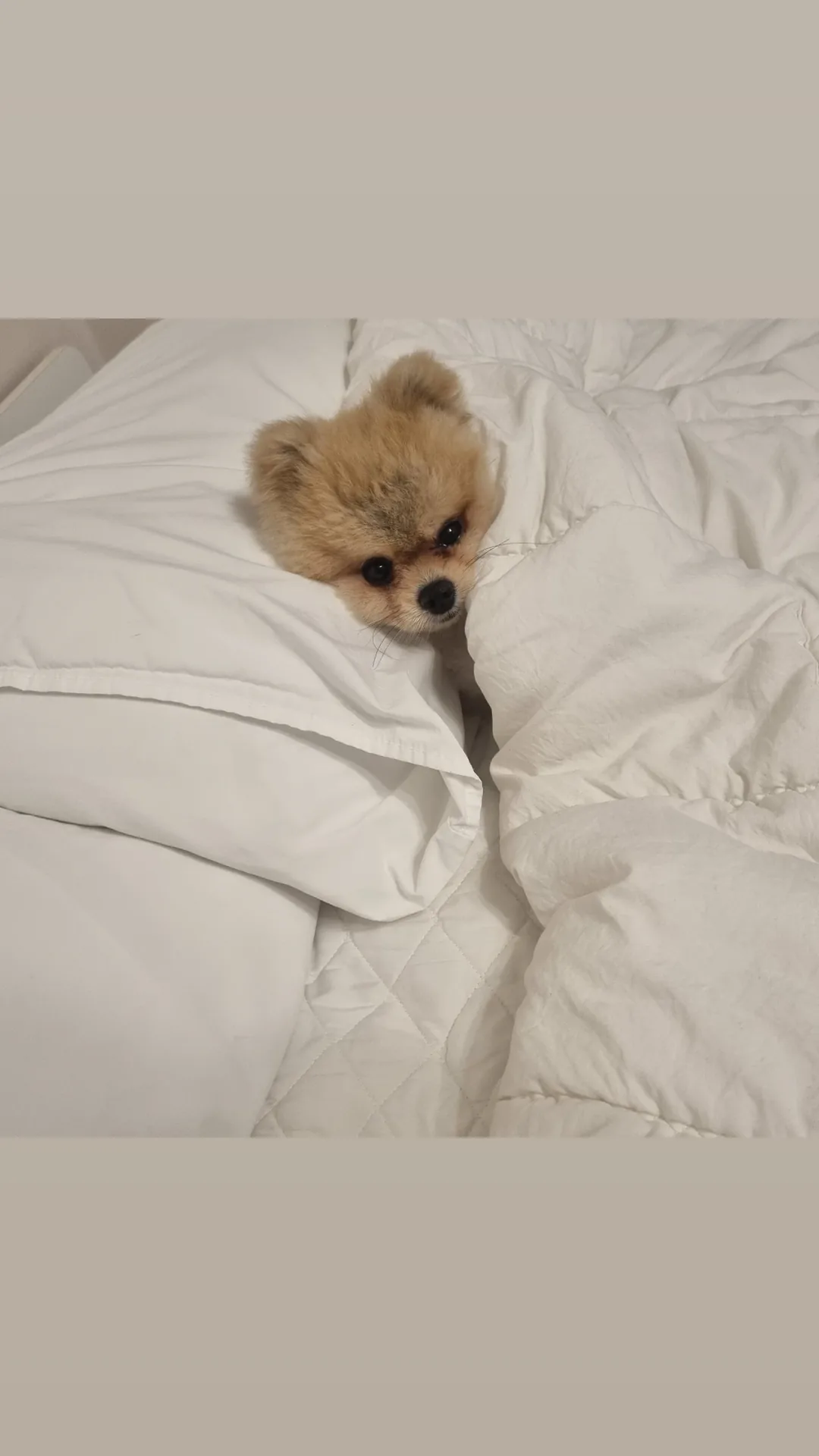 김아토