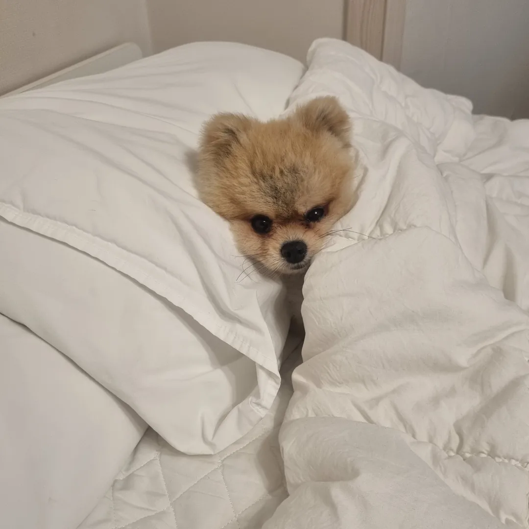 김아토 후기 사진 1