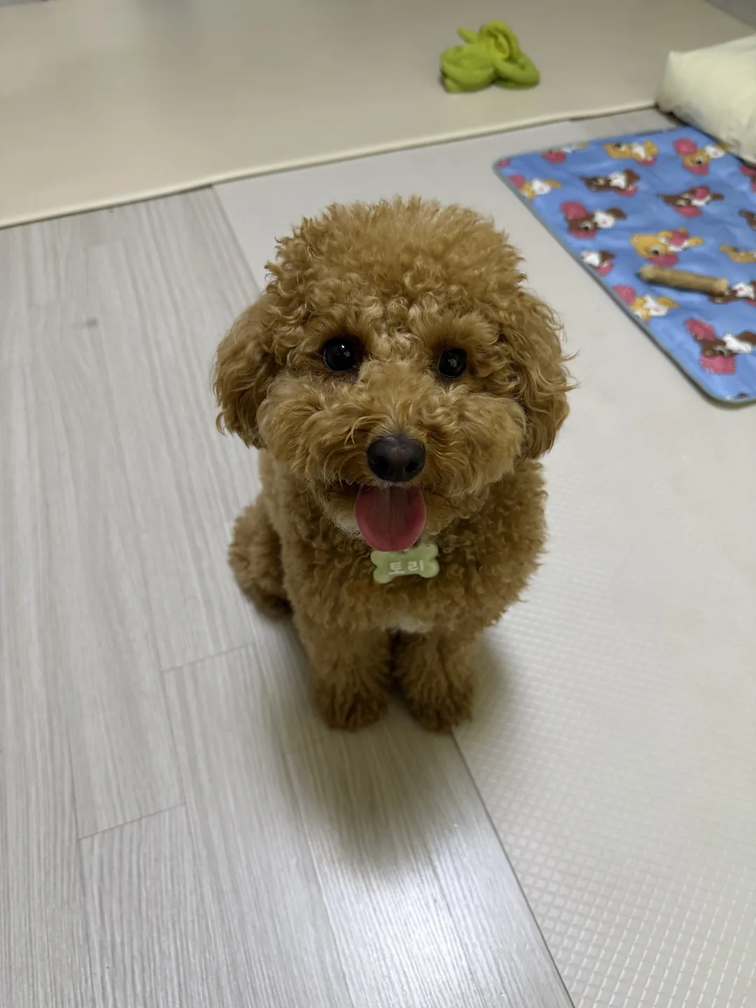 토리 후기 사진 1