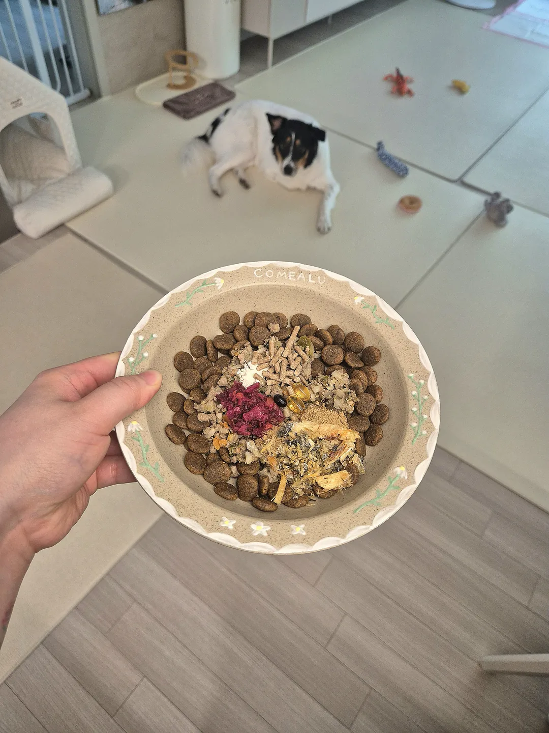 올라 후기 사진 3
