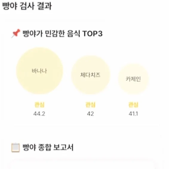 빵야 후기 사진 1