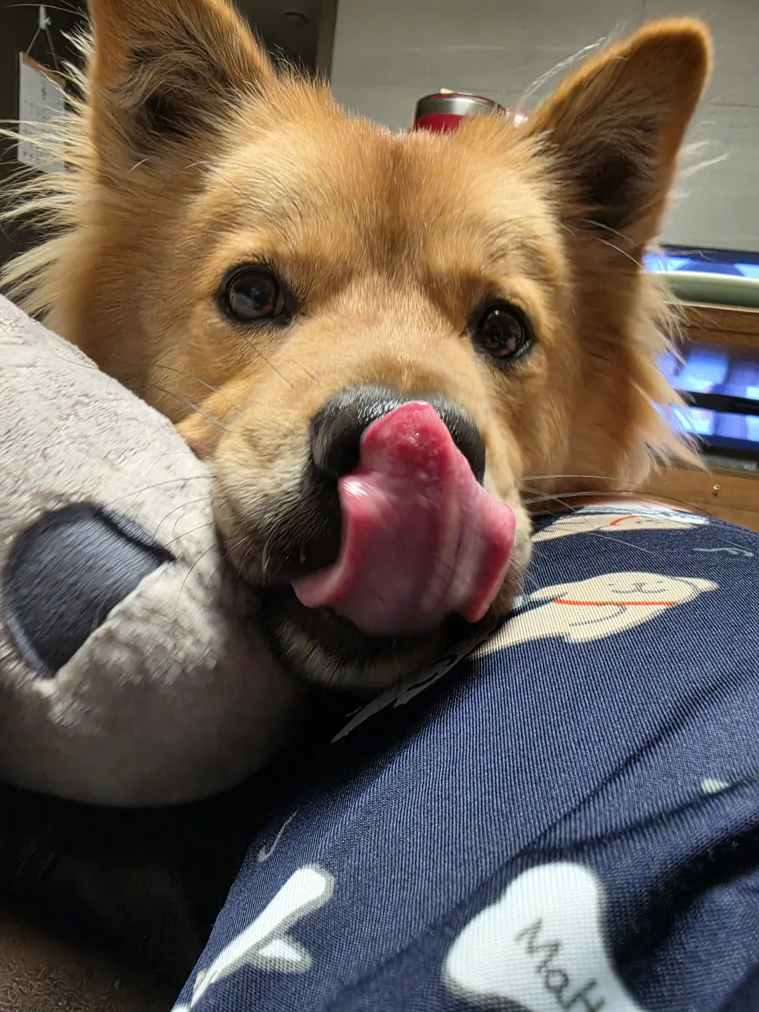 강하람