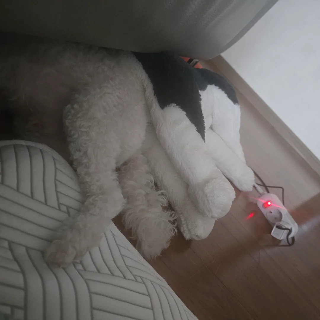 정우주