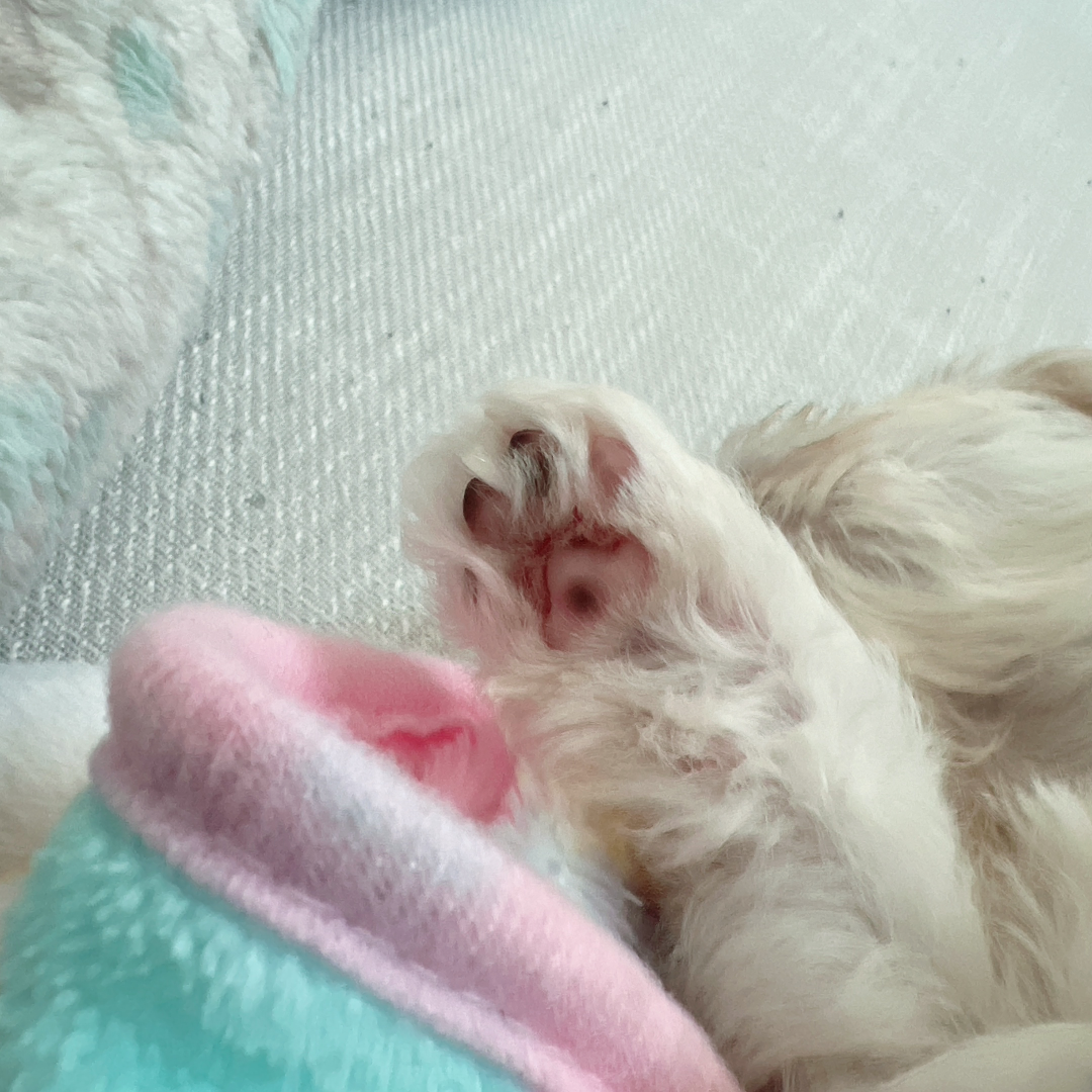쯔유 후기 사진 1