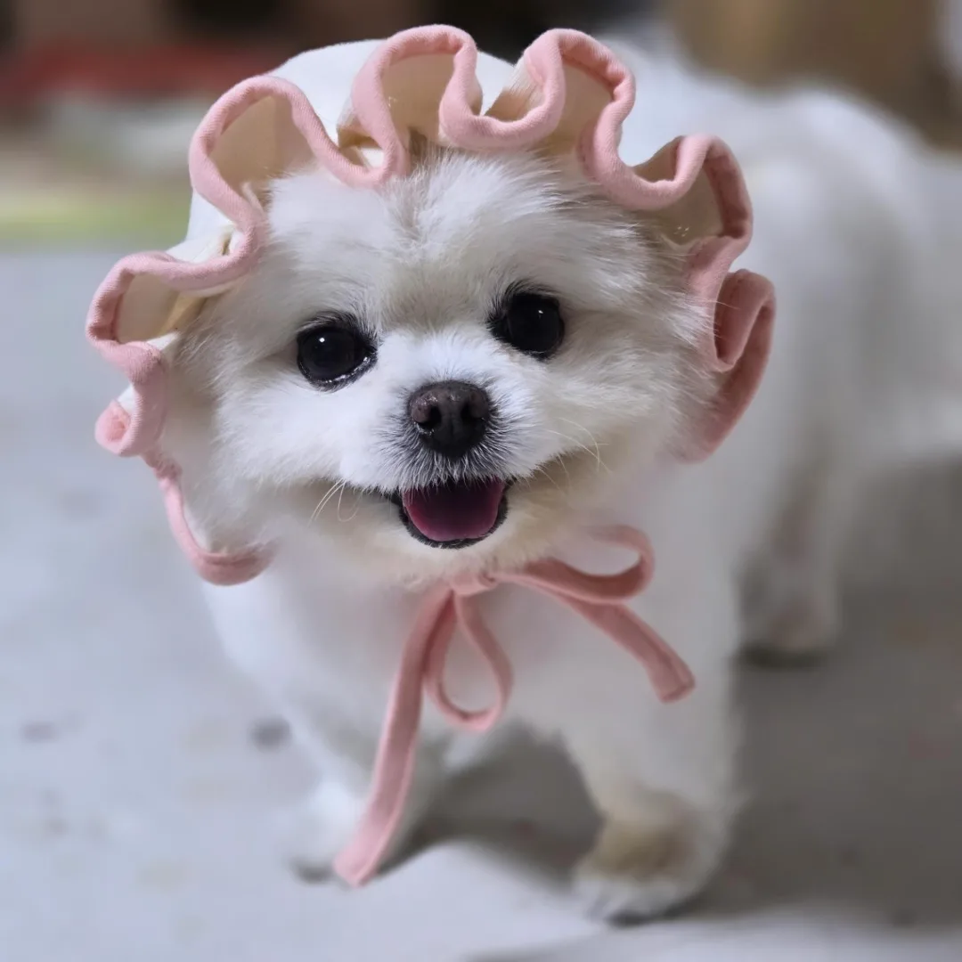 우비