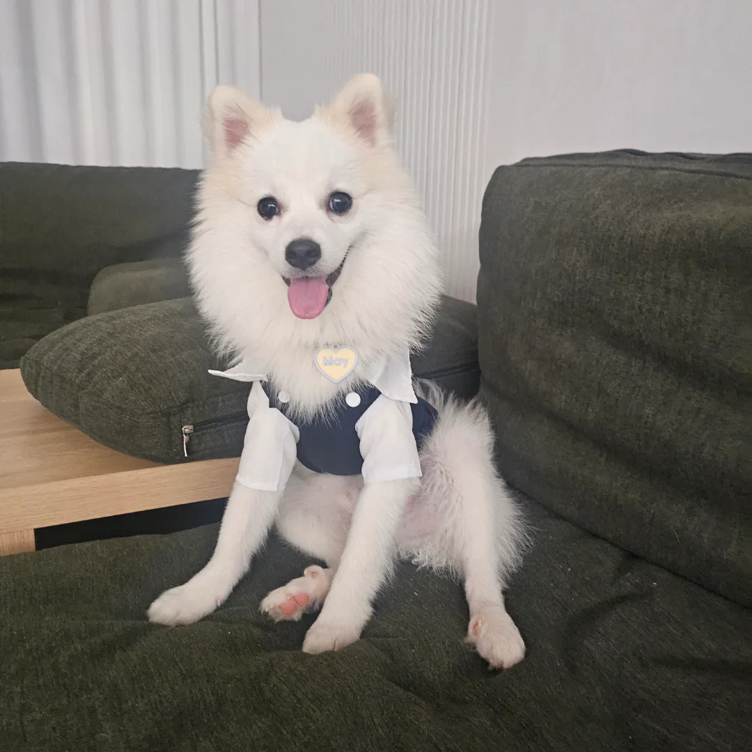 오월