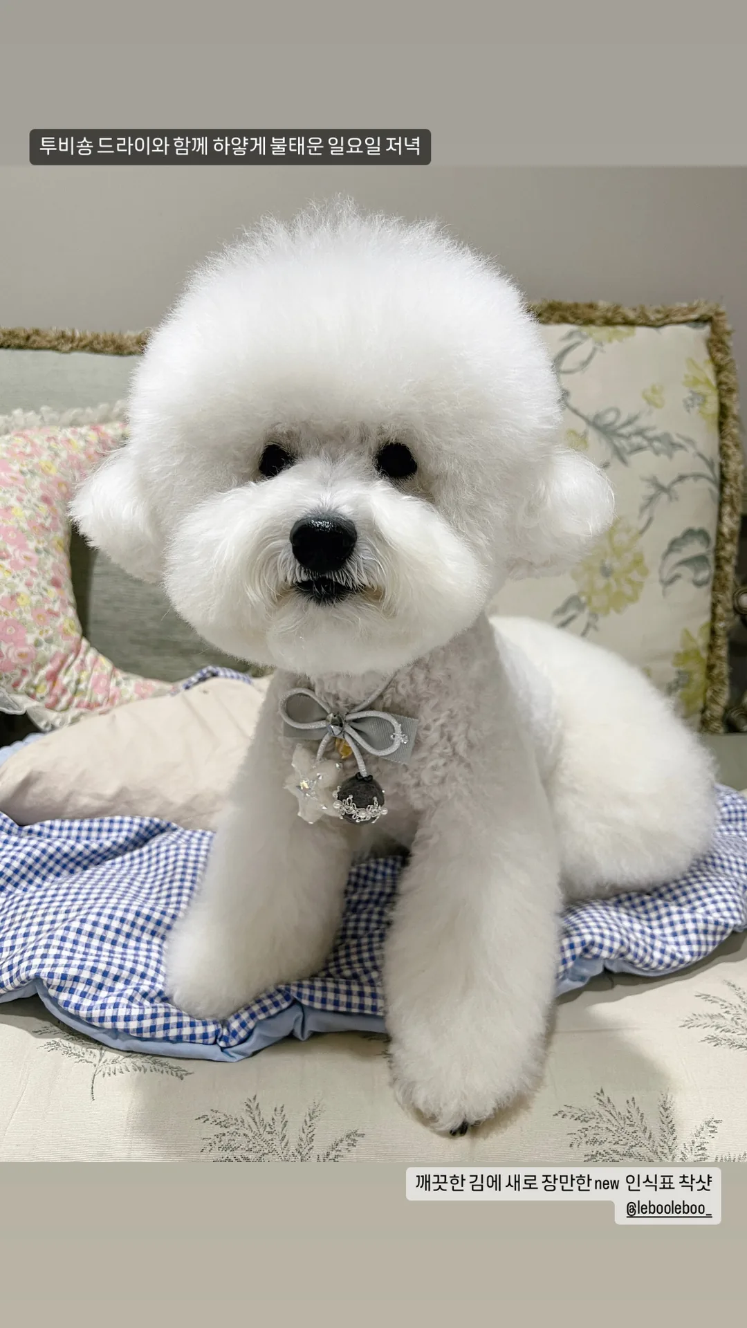 우쥬
