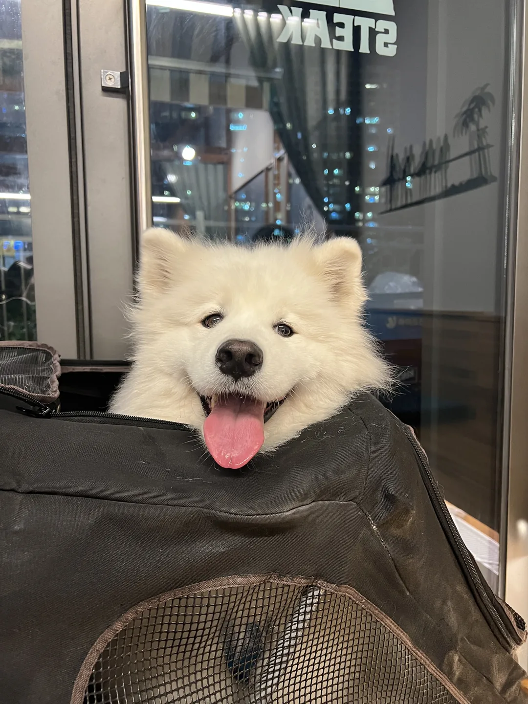 하또